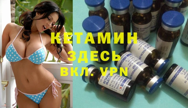 прущие грибы Долгопрудный