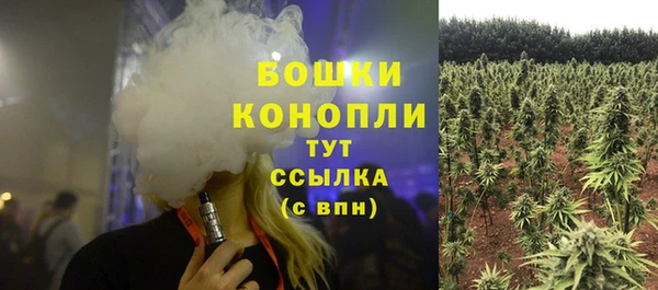 шишки Тольятти