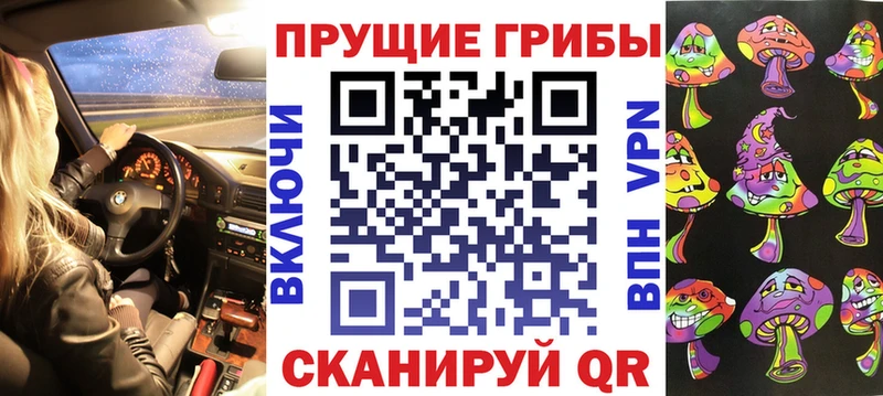 Псилоцибиновые грибы Psilocybe  Красноуфимск 