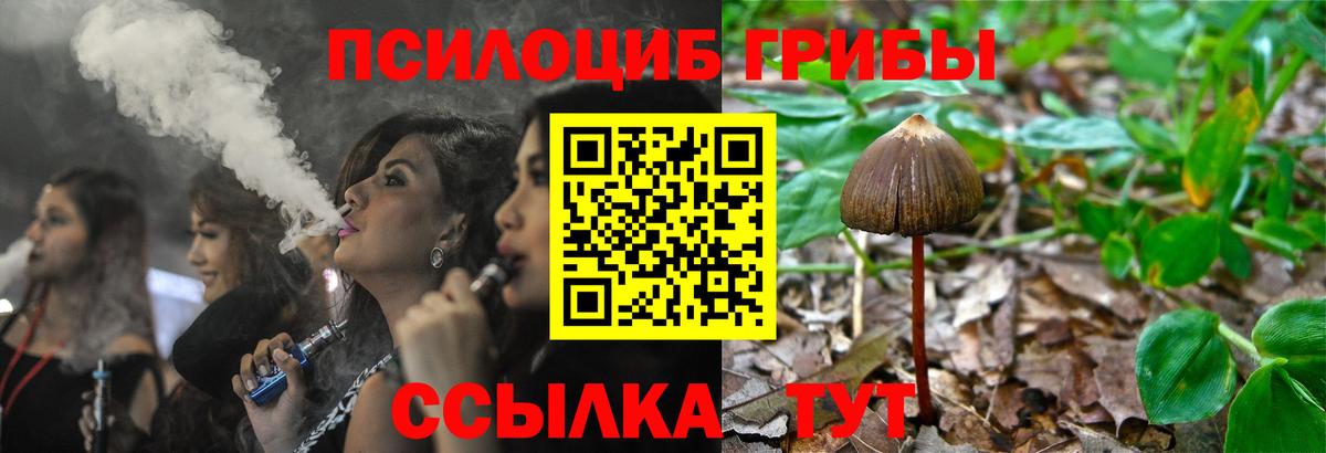 Красноуфимск  Галлюциногенные грибы Magic Shrooms  Псилоцибиновые грибы ЛСД  Вход с VPN 